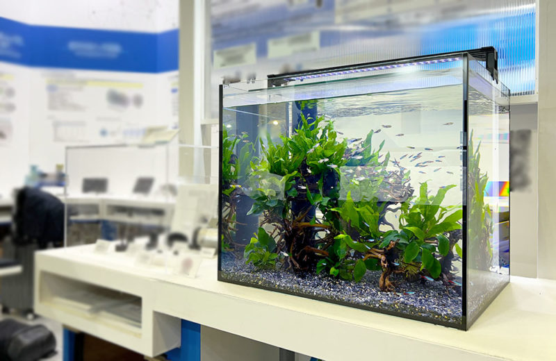 イベントで短期設置!ポンプ展示用の45cm淡水魚水槽 水槽画像1