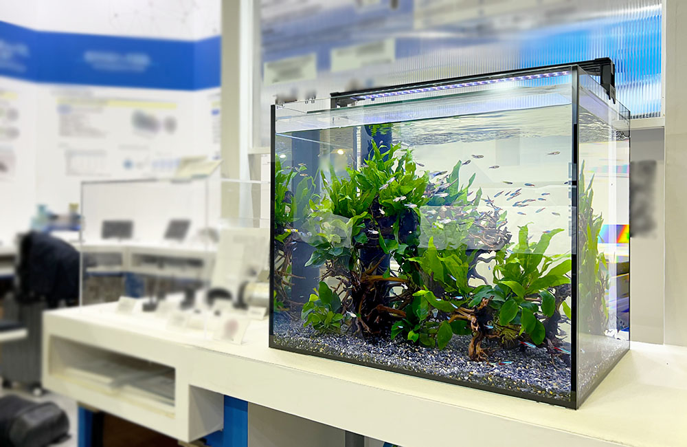 イベントで短期設置！ポンプ展示用の45cm淡水魚水槽のサムネイル画像