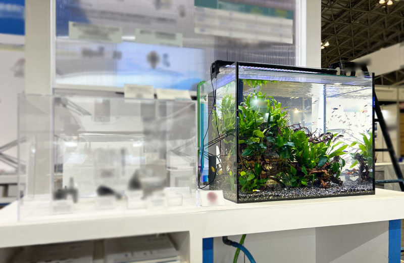 イベントで短期設置!ポンプ展示用の45cm淡水魚水槽 水槽画像5