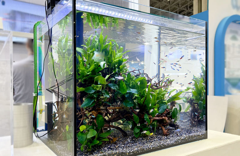 イベントで短期設置!ポンプ展示用の45cm淡水魚水槽 水槽画像3