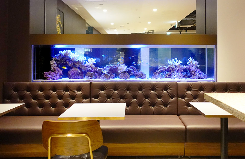 飲食店ソファ背面に設置された大型海水魚水槽