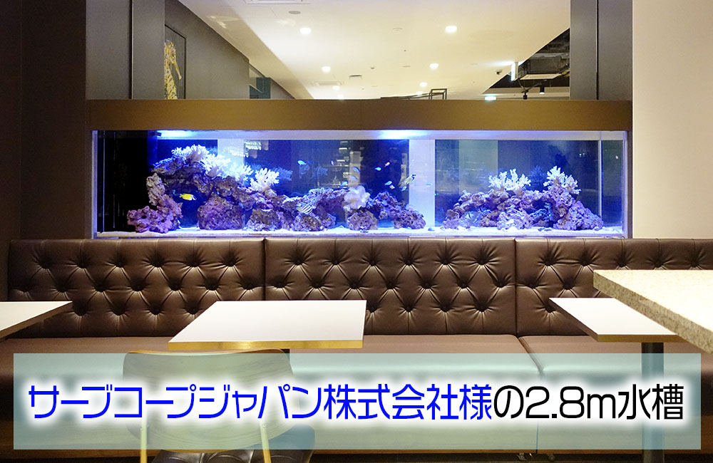 サーブコープジャパン株式会社様の2.8ｍ大型サンゴ水槽！