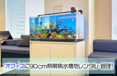 鹿島建設株式会社・関西支店様のオフィスに90cm淡水魚水槽をレンタル！