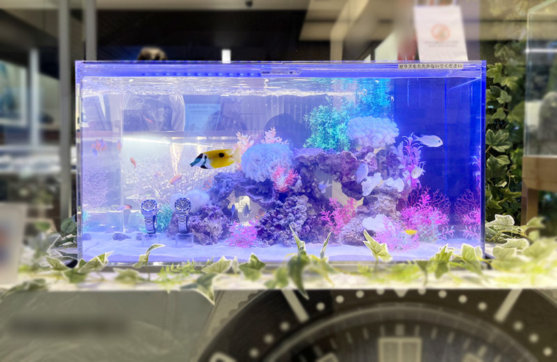 大阪府 商業施設のブランド専門店に設置 90cm海水魚水槽 短期レンタル事例 水槽画像1