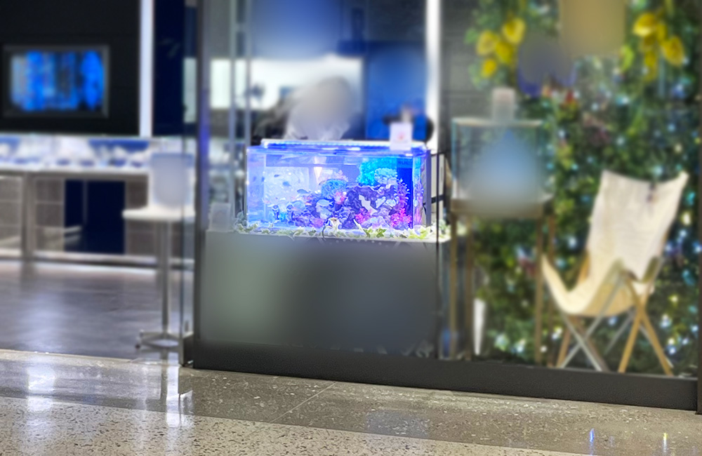 青い照明が灯る海水魚水槽と店内のインテリア