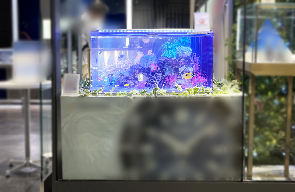 青い照明に照らされた海水魚水槽とサンゴのレイアウト