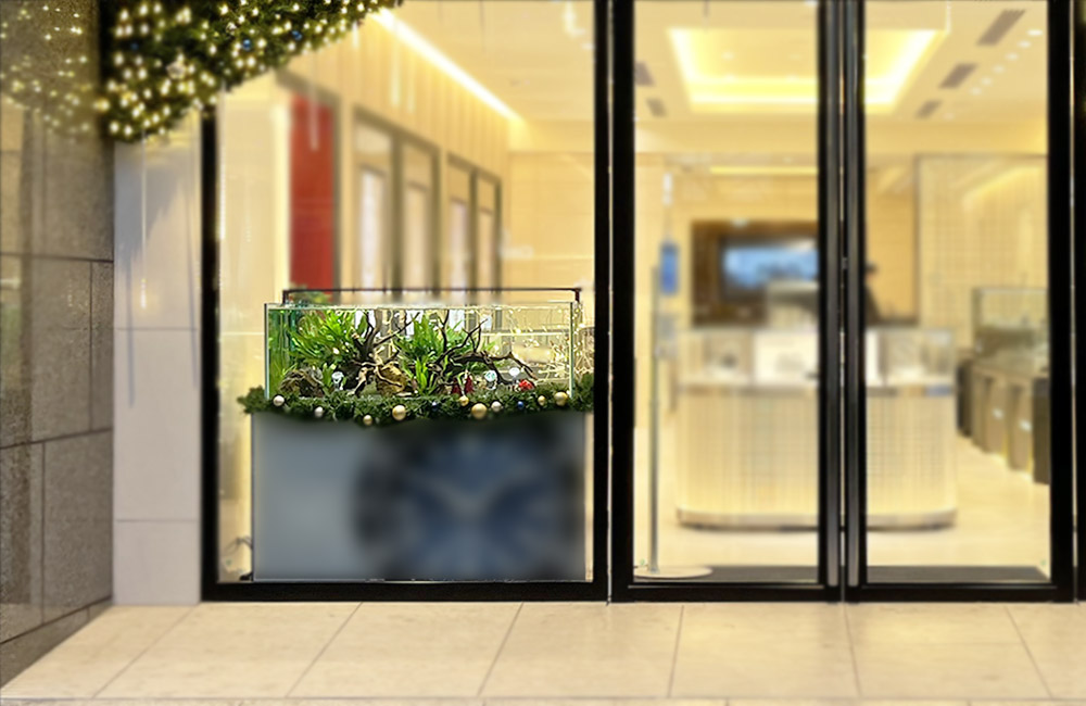 クリスマス装飾を施した店舗入口の水草水槽