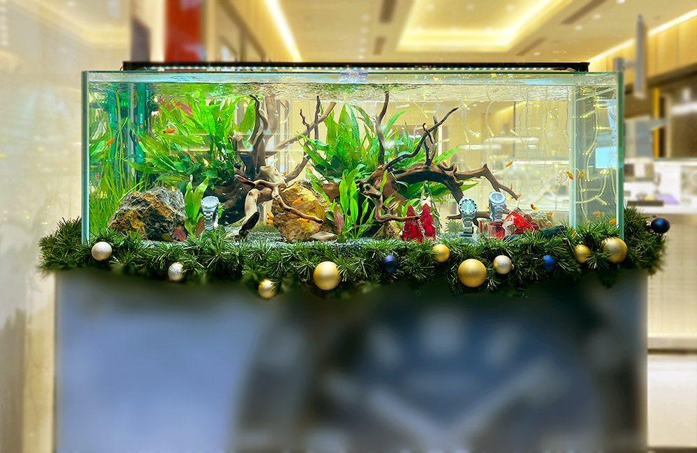 クリスマス装飾を施した流木と水草の大型水槽