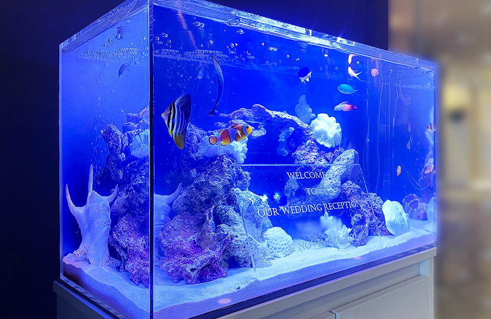 結婚式場に設置された海水魚水槽のウェルカムボード