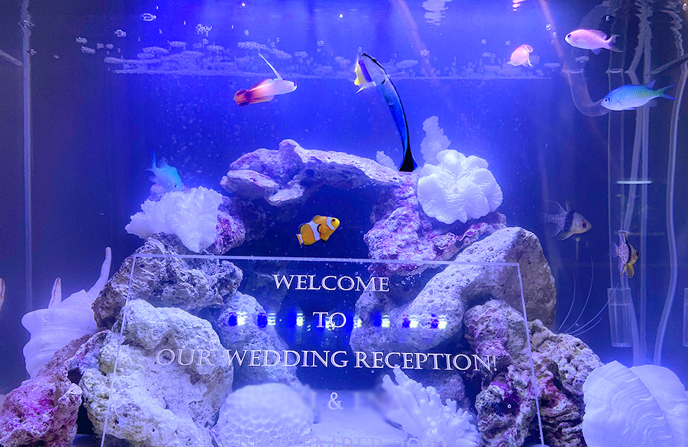 ウェルカムボードが設置された海水魚水槽のレイアウト