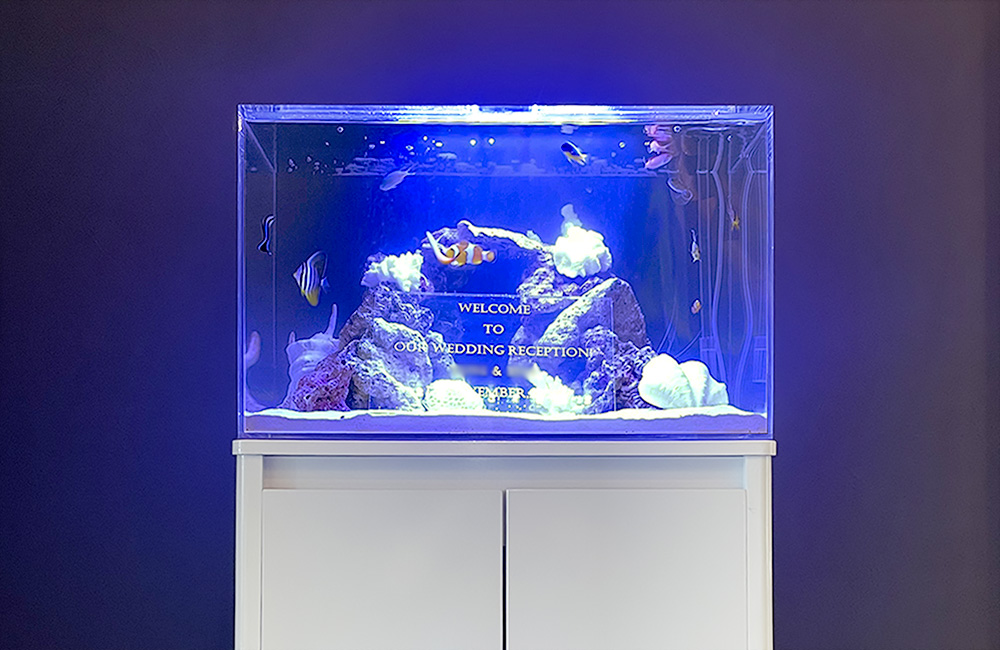 ウェルカムボードを設置した海水魚水槽のウェルカムアクアリウム