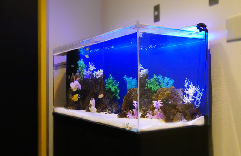 品川区 企業様 オフィス出入口に設置 120cm海水魚水槽 レンタル事例 水槽画像1