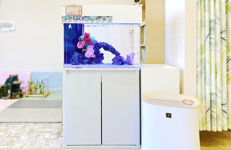 立川市 クリニック様 待合室に設置 60cm海水魚水槽 レンタル事例 水槽画像1