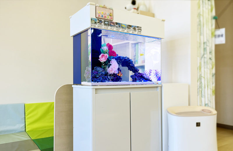 立川市 クリニック様 待合室に設置 60cm海水魚水槽 レンタル事例 水槽画像2
