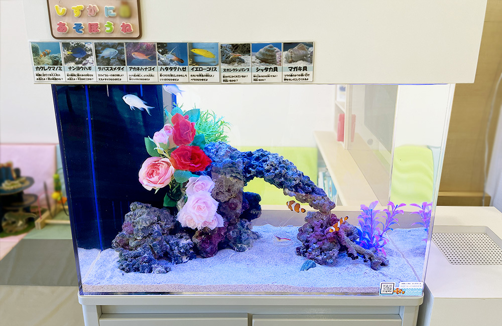 立川市 クリニック様 60cm水槽の海水魚