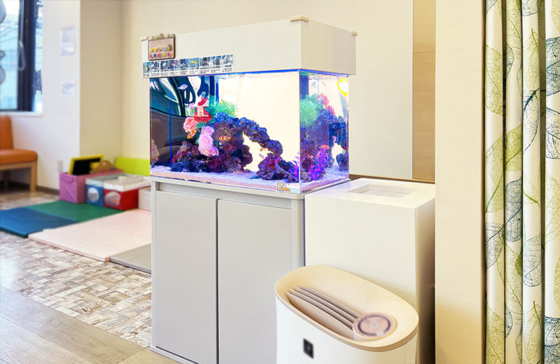 立川市 クリニック様 待合室に設置 60cm海水魚水槽 レンタル事例 水槽画像5