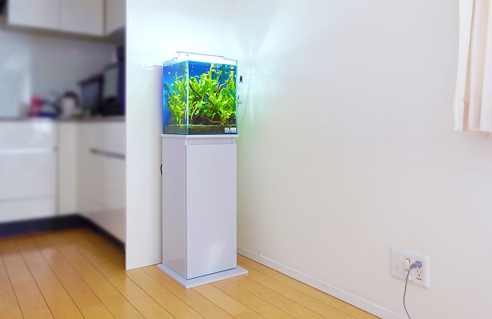 白い水槽台に設置された水草の茂る小型の四角い水槽