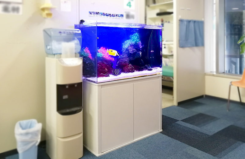東京都 クリニック 90cm海水魚水槽 レンタル事例 水槽画像3