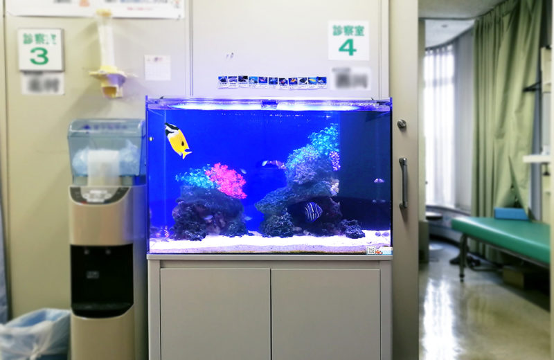 東京都 クリニック 90cm海水魚水槽 レンタル事例 水槽画像1