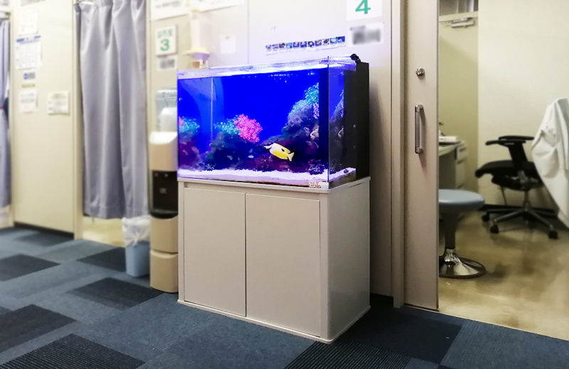 東京都 クリニック 90cm海水魚水槽 レンタル事例 水槽画像2