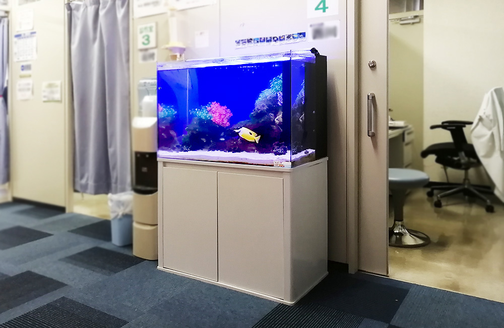 青い照明の海水魚水槽と白い水槽台が置かれた診察室の風景