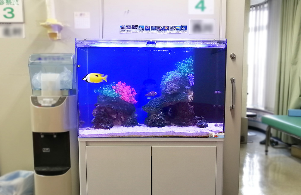 待合室に設置された海水魚水槽と黄色い熱帯魚の姿