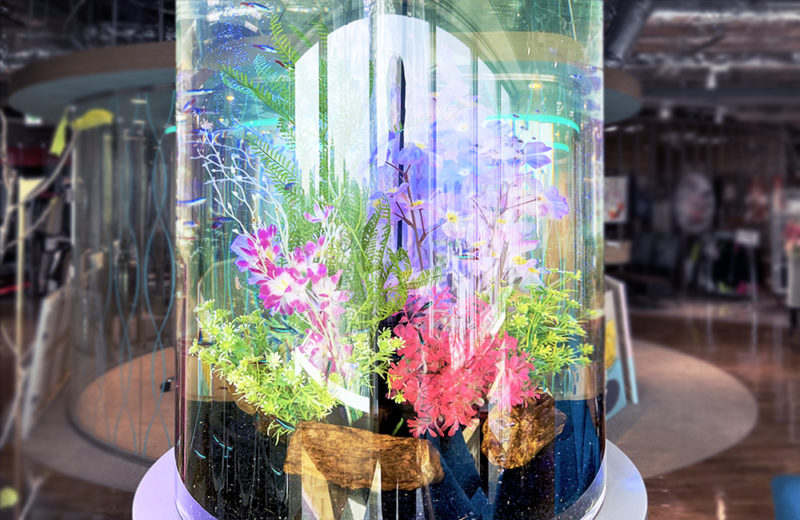東京都 企業様 淡水円柱水槽 レンタル・リニューアル事例 水槽画像4