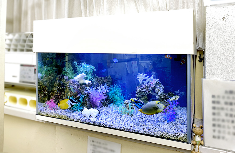 神奈川県 内科クリニック様 90cm海水魚水槽 メンテナンス事例