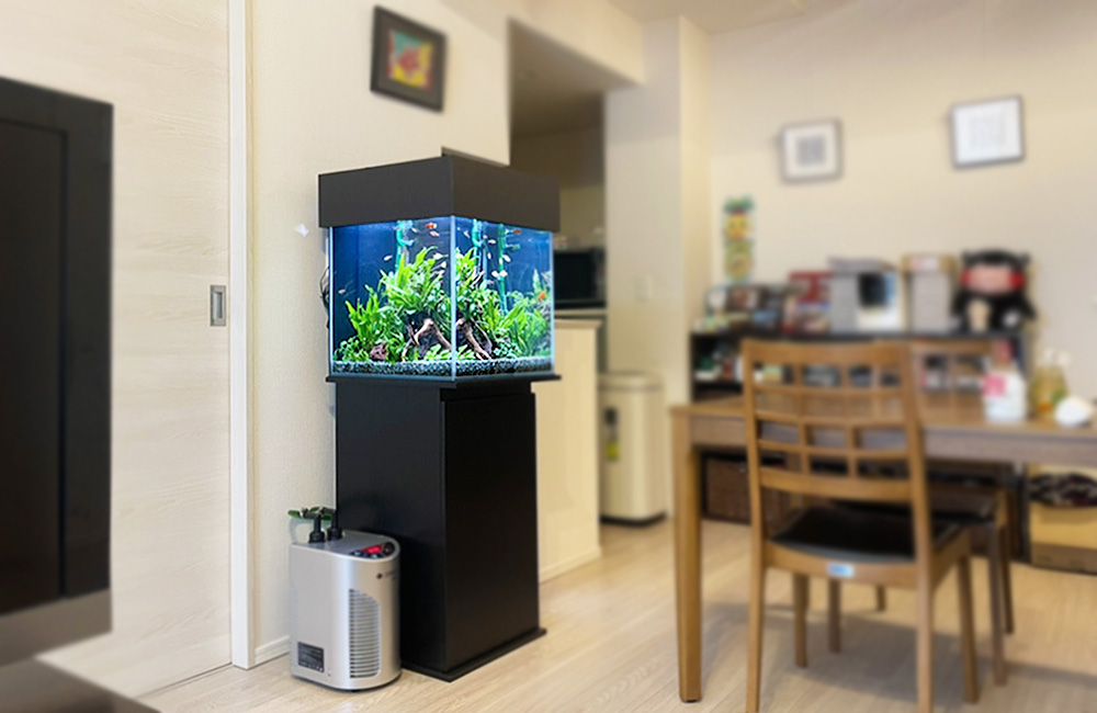 リビングに設置された黒い水槽台と水草水槽の全景