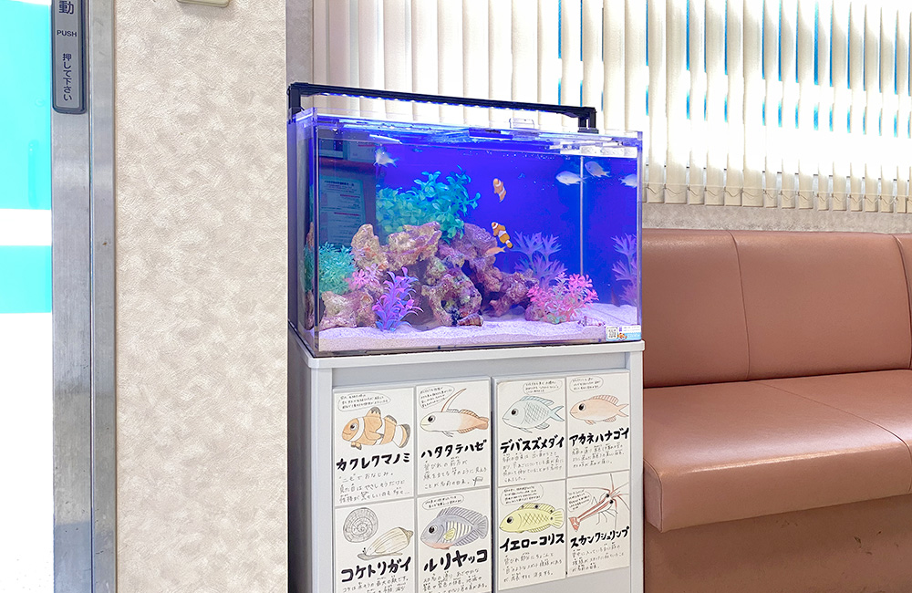 待合室のソファ横に設置された海水魚水槽と魚の紹介パネル