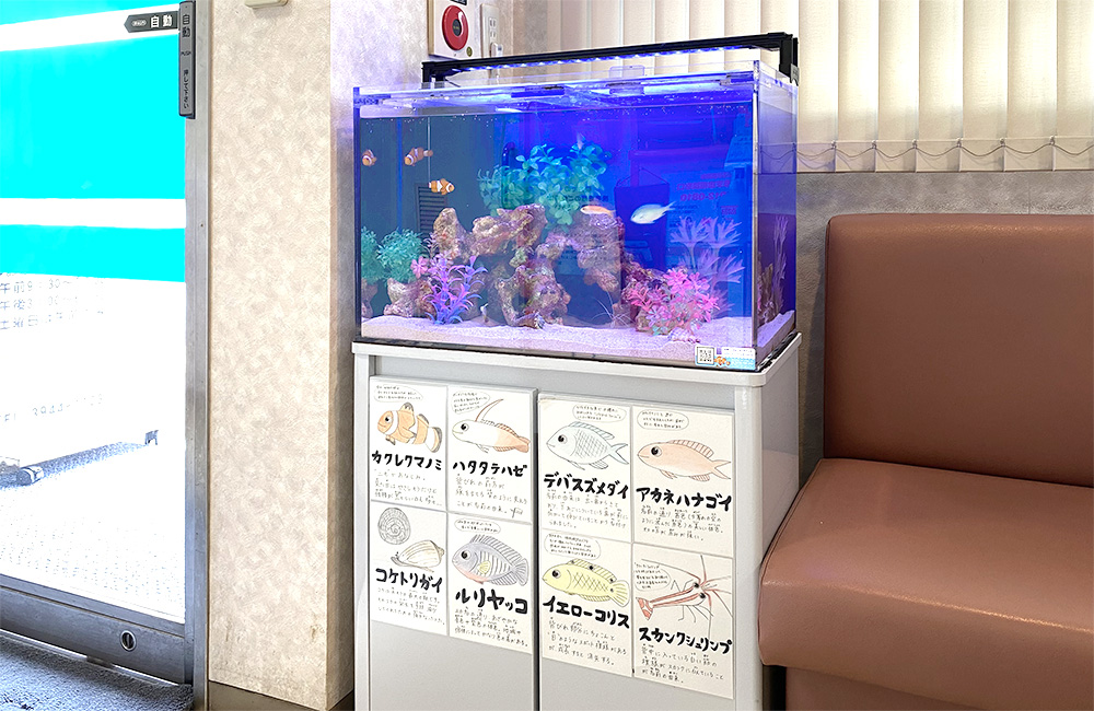 東京都 眼科様 60cm海水魚水槽 レンタル事例　その後