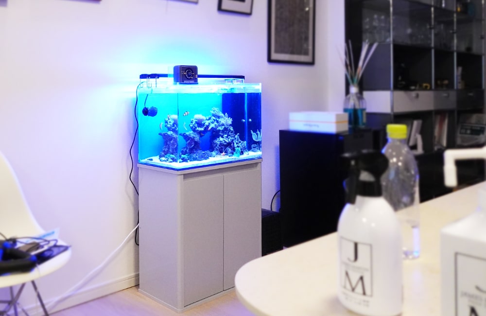 青い照明が灯る海水魚水槽と白い水槽台の設置風景