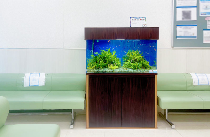 神奈川県横浜市 クリニック 90cm淡水魚水槽 レンタル事例 水槽画像3