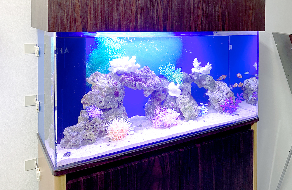 青い照明に照らされた岩組みと人工サンゴの海水魚水槽