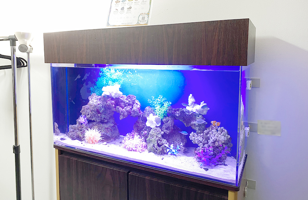 青い照明に照らされた海水魚水槽と木目調の水槽台