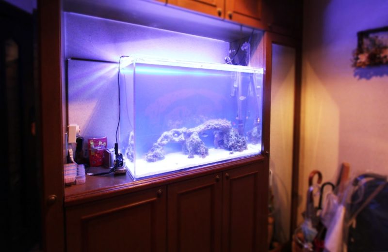 個人宅　お客様の90cm海水魚水槽をメンテナンスしています 水槽画像１