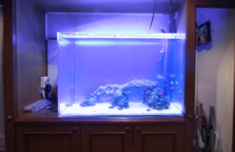 個人宅　お客様の90cm海水魚水槽をメンテナンスしています 水槽画像２
