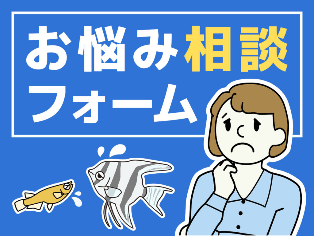 アクアリウムのお悩み相談フォーム!水槽や熱帯魚のお悩みはこちらのサムネイル画像