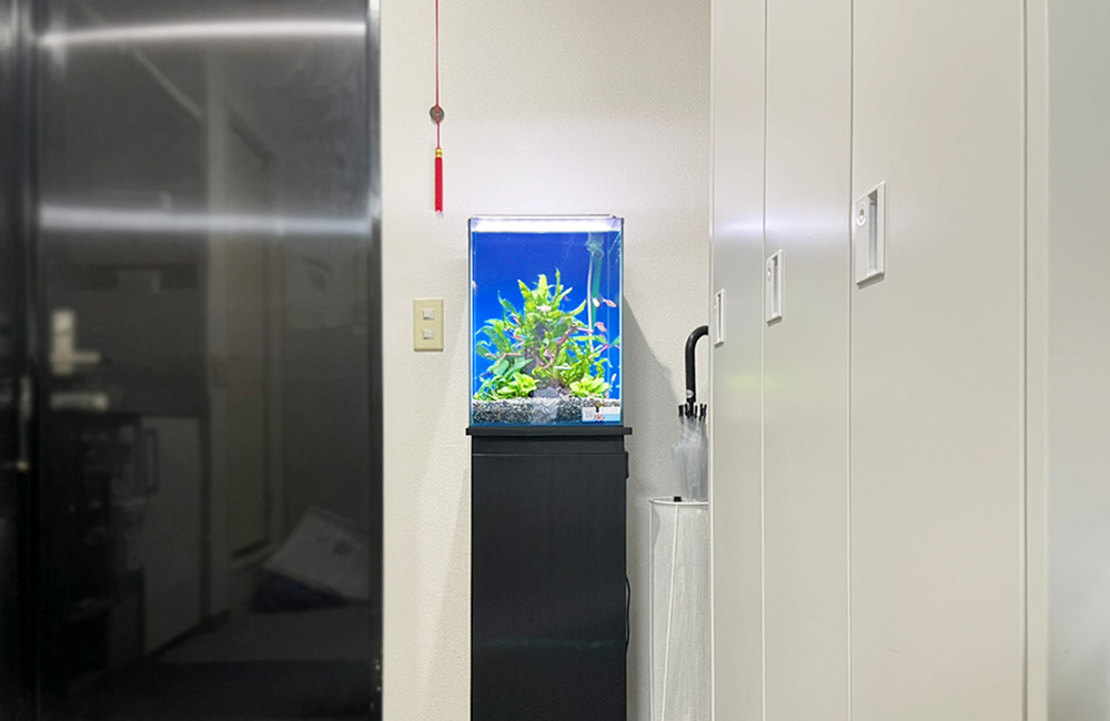 白いロッカーの横に設置された小型水槽と黒い水槽台