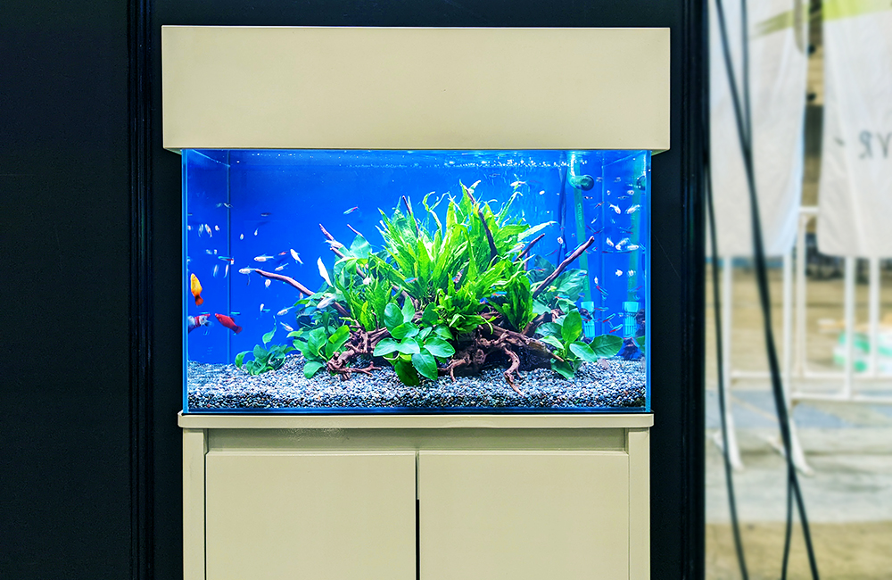 水草と小型魚が泳ぐ青い背景のキャビネット付き水槽