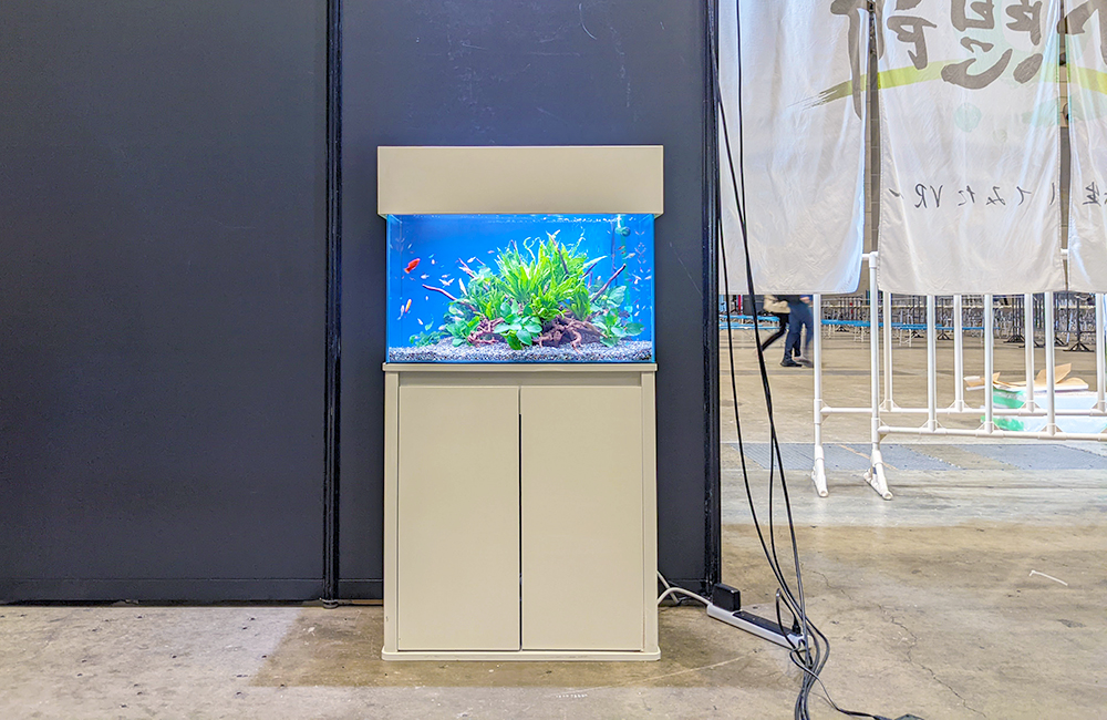 白い水槽台に設置された水草と小型魚の熱帯魚水槽