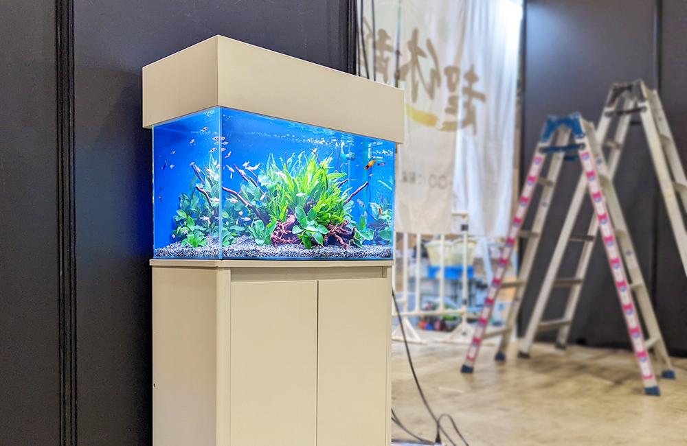 白い水槽台に設置された水草と小型魚の熱帯魚水槽