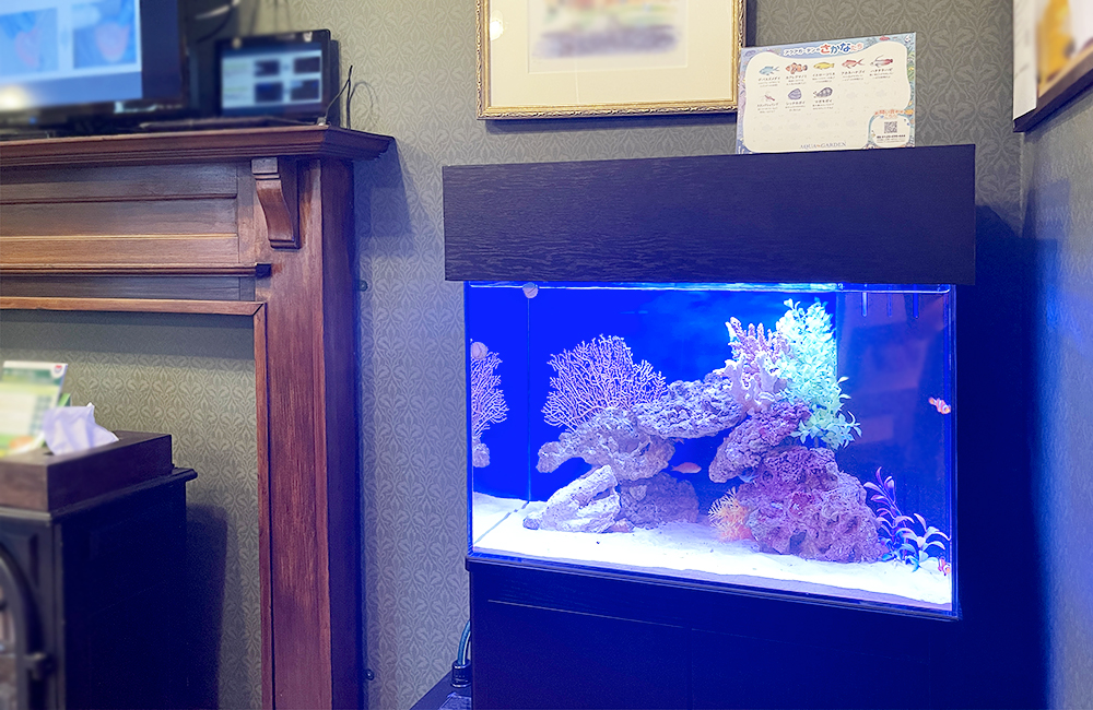 青い照明の海水魚水槽と木製家具が並ぶ室内風景