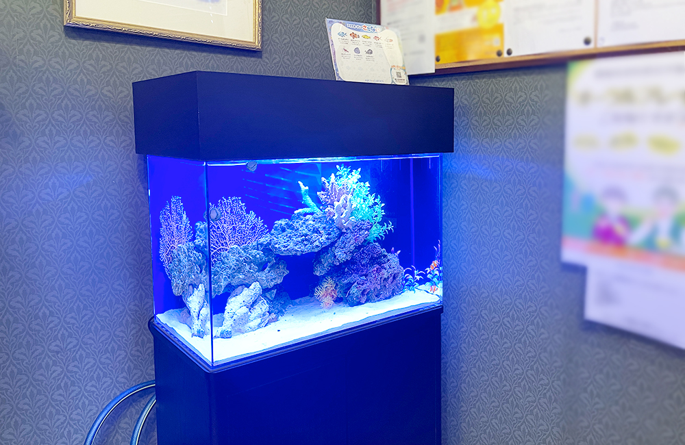 青い照明の海水魚水槽と黒い水槽台の設置風景