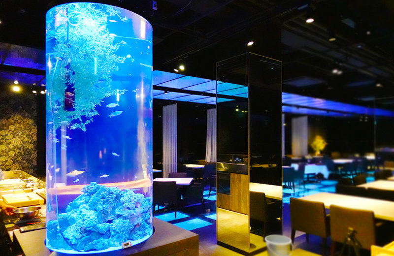 日本料理「魚月」様 淡水の円柱水槽 水槽リース事例 水槽画像2