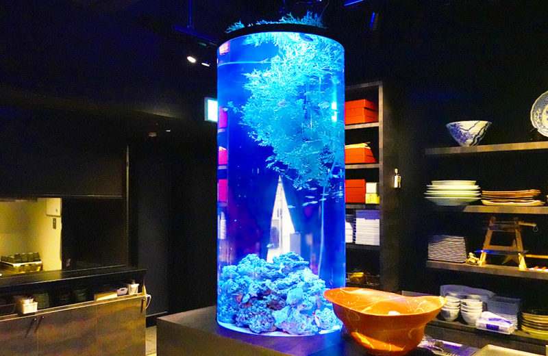 日本料理「魚月」様 淡水の円柱水槽 水槽リース事例 水槽画像1