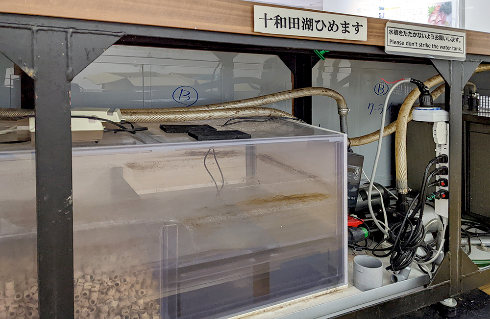 十和田湖ひめます水槽下のろ過槽と配線設備の外観