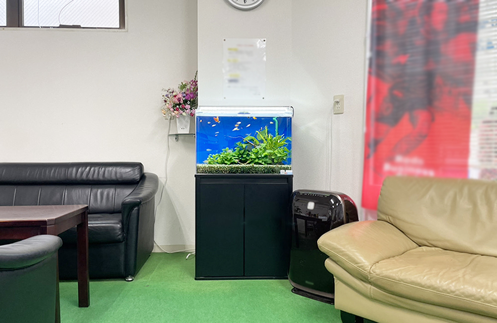 応接室のソファの間に設置された熱帯魚水槽と黒い水槽台