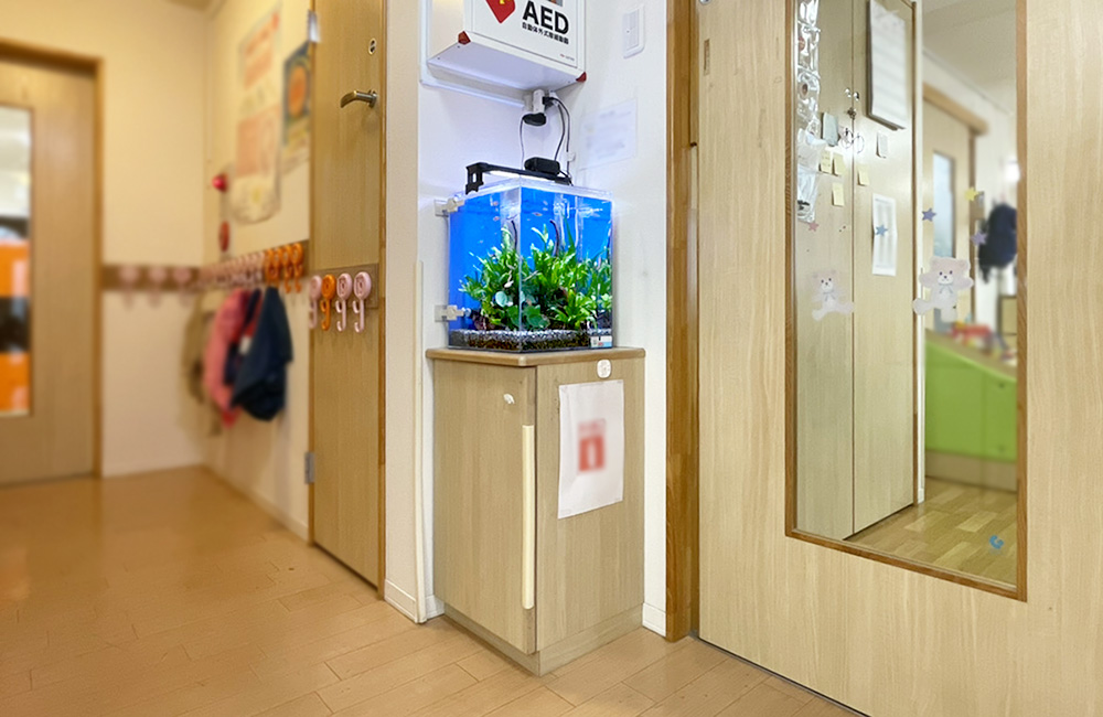 保育園の廊下に設置された小型の水草水槽と専用台