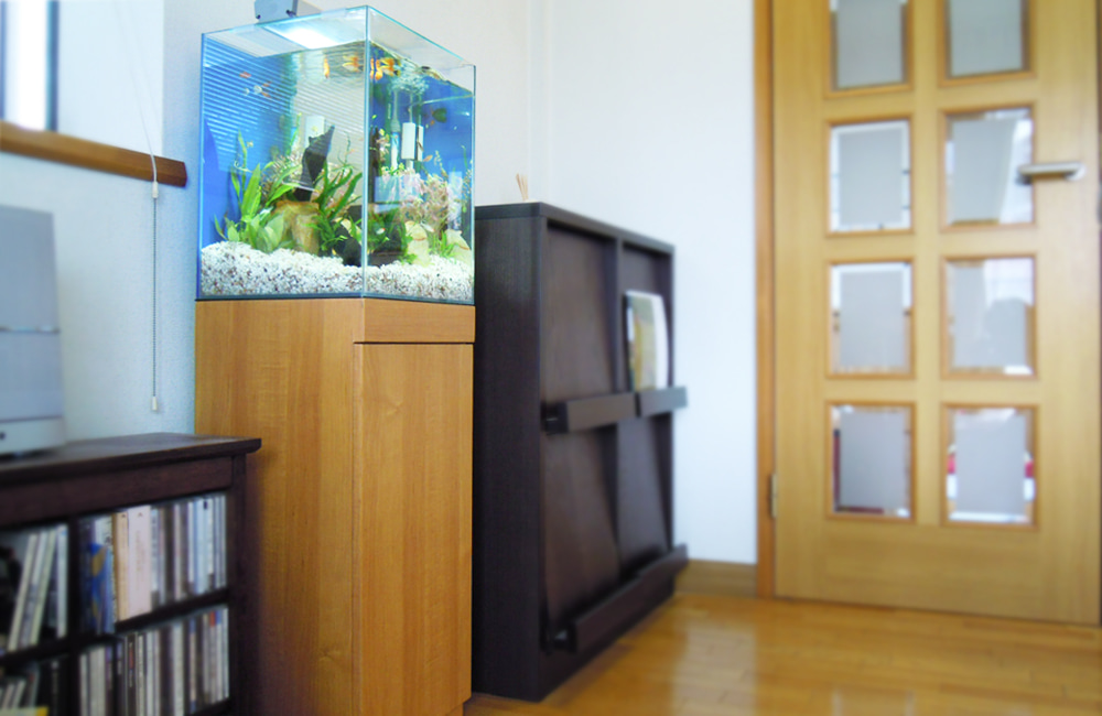 木製水槽台に設置された水草と小型魚のフレームレス水槽